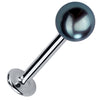 5mm cultured peacock pearl flat back labret stud in 14k white gold, angled view