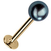 5mm cultured peacock pearl flat back labret stud in 14k yellow gold, angled view