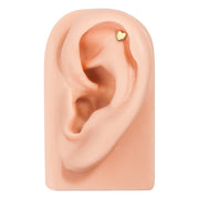 14K yellow gold heart cartilage flat back stud on ear mannequin in helix position