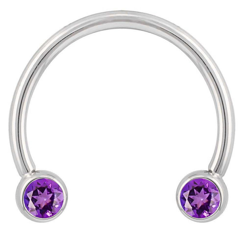14k white gold circular barbell with purple CZ bezels, wider open-end view showing bezel detail