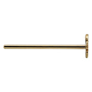Side profile of 14K yellow gold butterfly nose ring straight post showing full pin length