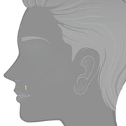 14K gold cross flat back labret shown as nose stud on illustrated face profile