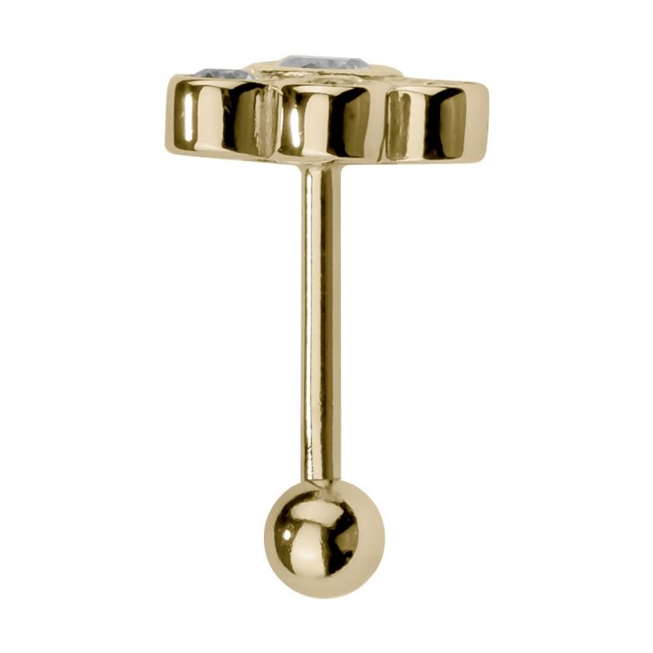 Cubic Zirconia Bezel Cluster 14K Gold Internal Stud Cartilage Earring