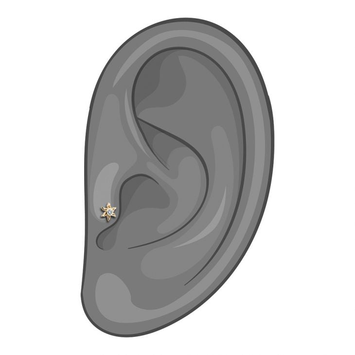 14K gold sunburst tragus stud shown in illustrated ear piercing placement diagram