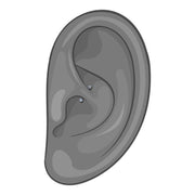 Illustrated ear diagram showing CZ straight barbell worn as a daith piercing