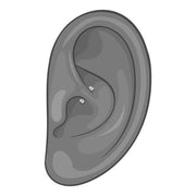 Illustration of a straight barbell worn in a rook ear piercing, showing placement and fit reference