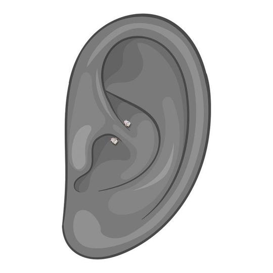 Illustration of a straight barbell worn in a rook ear piercing, showing placement and fit reference