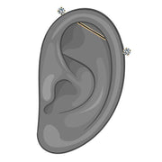 Illustrated ear diagram showing 14k gold industrial barbell placement spanning the cartilage piercing