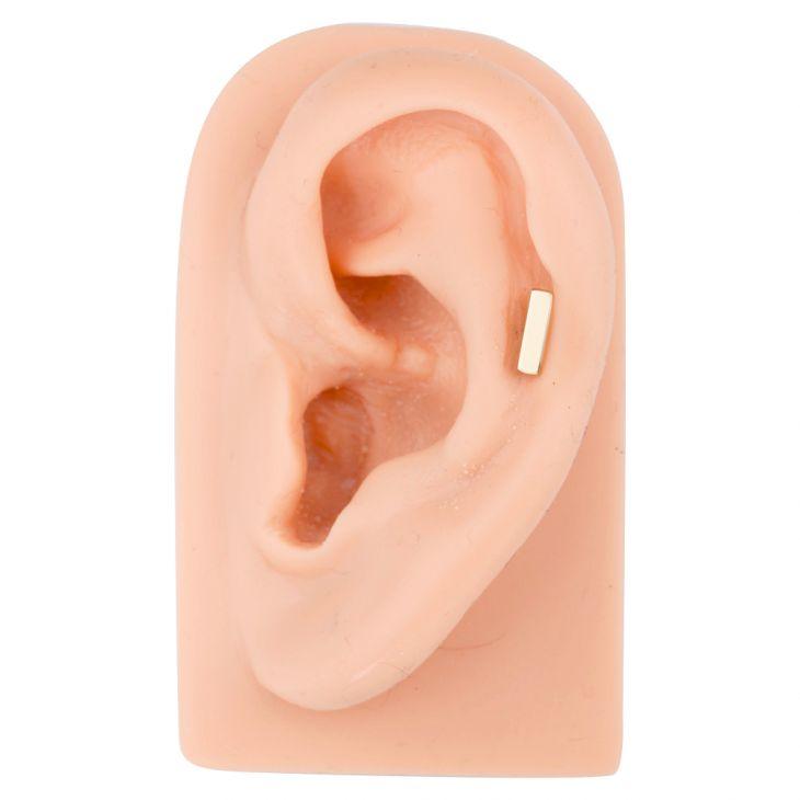 14K yellow gold bar stud in tragus piercing on silicone ear model showing placement and size