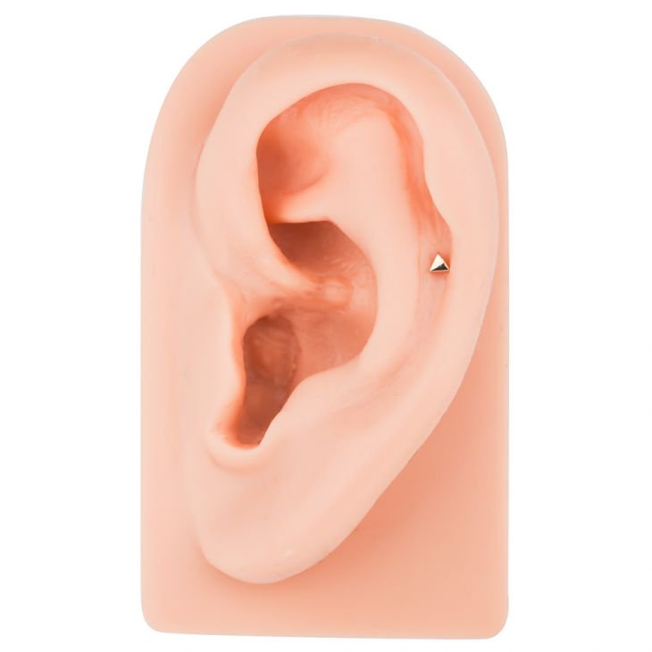 2mm triangle gold labret stud shown in tragus piercing on silicone ear model for size reference