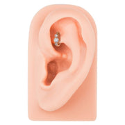 Three-CZ gold clicker ring in rook piercing on silicone ear model, showing size and placement