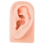 Rose gold crescent moon cartilage stud shown in helix piercing on silicone ear model for size reference