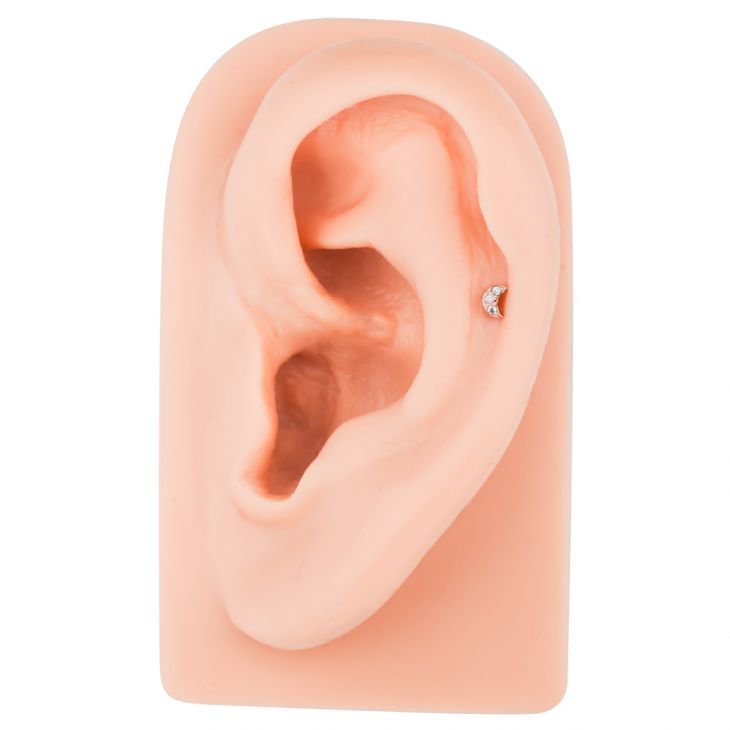 Rose gold crescent moon cartilage stud shown in helix piercing on silicone ear model for size reference