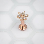 14k rose gold CZ flower flat back labret, front view showing clear stone petals on white background