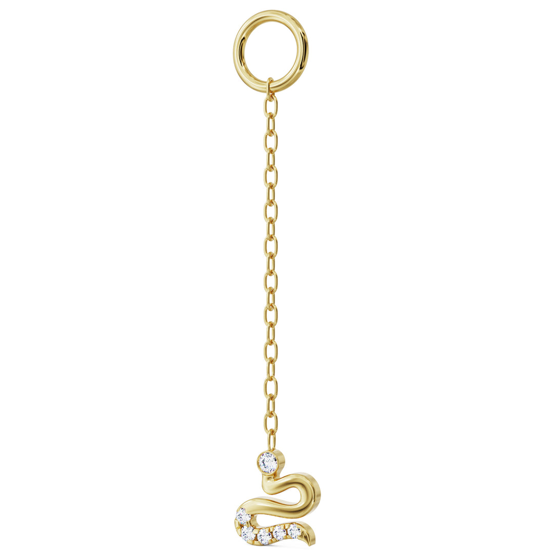 Diamond Snake Chain Accessory