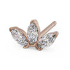 Marquise Lotus Stud 14K Gold Earring