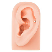 2.5mm disc 14K gold flat back labret in tragus of silicone ear model showing minimal, flush fit
