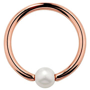 14K rose gold captive bead ring with white cultured pearl, warm-toned hoop front view