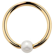 14K yellow gold captive bead ring with cultured pearl, polished hoop front view