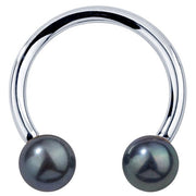 14K white gold circular barbell with two genuine peacock pearls, front view