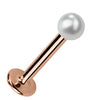 3mm cultured pearl flat back labret stud in 14K rose gold, angled product view