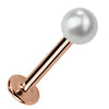 4mm cultured pearl flat back labret stud in 14K rose gold, angled view showing warm-toned post and disc