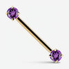 14K yellow gold straight barbell with dual purple CZ prong settings, angled product view