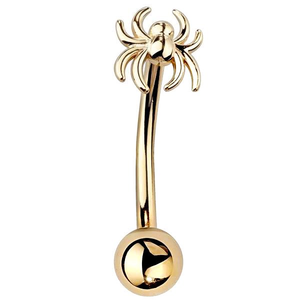 14K yellow gold spider curved barbell eyebrow ring, front view showing polished finish and ball end