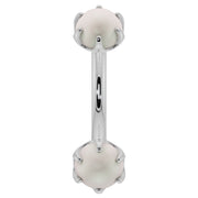 14k white gold pearl prong-set curved barbell, front view with cool silver-white finish