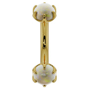 14k yellow gold curved barbell with larger 4mm prong-set opal cabochons, front view 14G