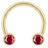 14k yellow gold circular barbell with dual red CZ round bezel ends, front view