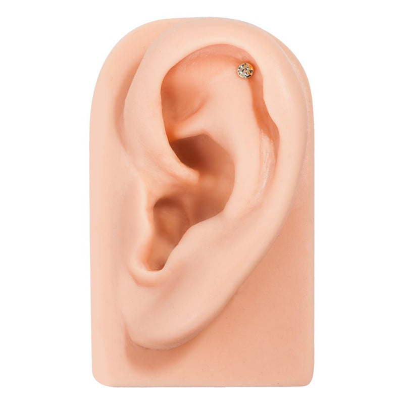 14k yellow gold hammered disc flat back stud in helix piercing on silicone ear model for scale