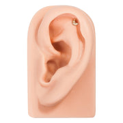14K yellow gold moon flat back earring shown in helix cartilage piercing on silicone ear model