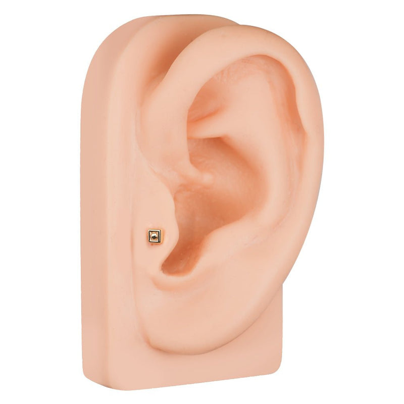 Balinese square 14k gold cartilage stud worn in lobe piercing on ear model showing dainty fit