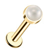14k yellow gold flat back labret with 3mm pearl cabochon in bezel setting, angled product view
