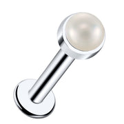 14k white gold flat back labret with 3mm pearl cabochon in polished bezel setting, angled view