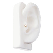 14k gold petite diamond flower labret stud in tragus piercing on white ear display, side profile