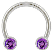 14k white gold circular barbell with dual purple CZ round bezel ends, front view on white