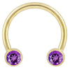 14k yellow gold circular barbell with dual purple CZ round bezel ends, front view on white