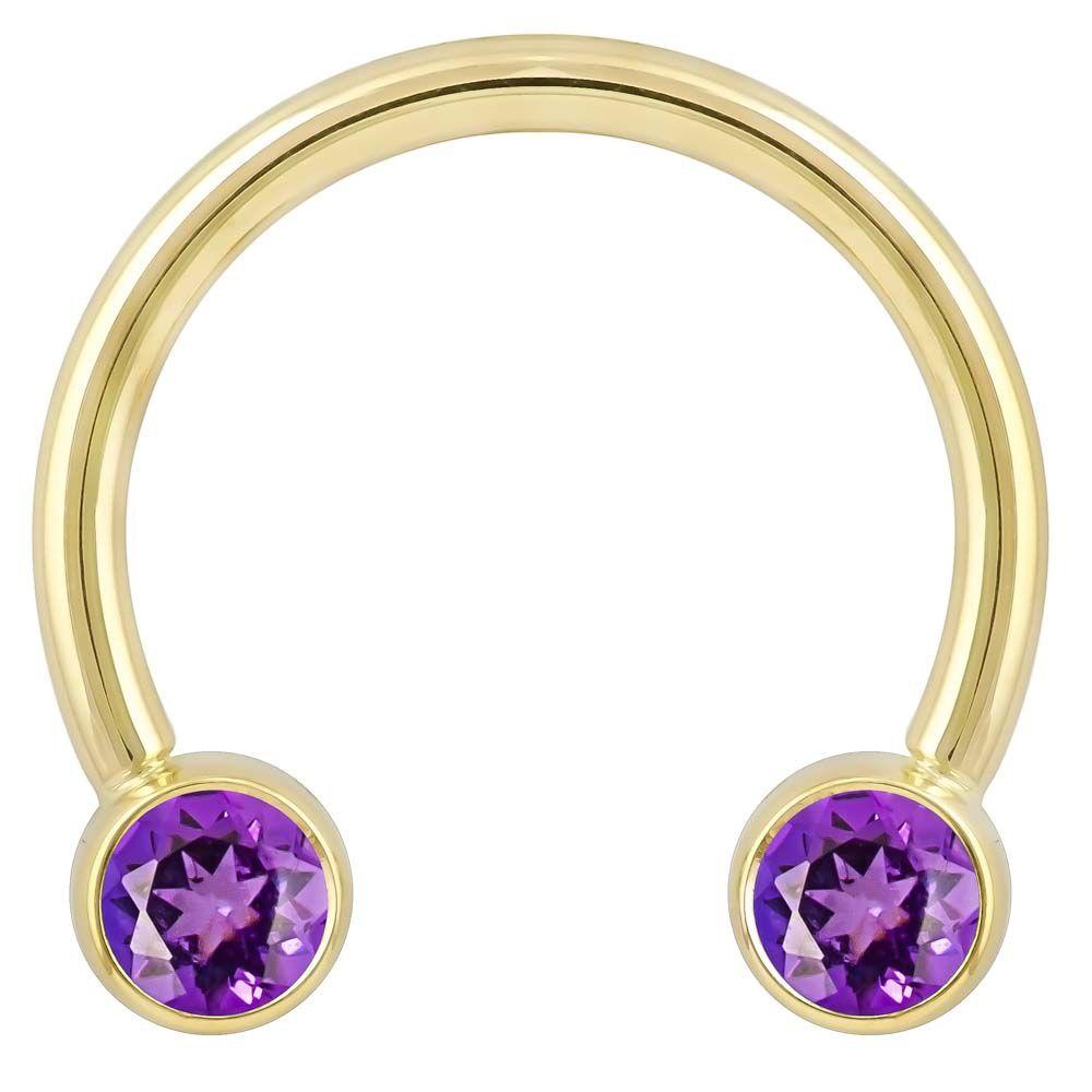 Purple Cubic Zirconia Round Bezel 14k Gold Circular Barbell-14K Yellow Gold   12G (2.0mm)   3 4" (19mm)