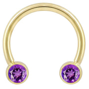 14k yellow gold circular barbell with dual purple CZ round bezel ends, front view on white