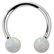 14k white gold circular barbell with white opal ball ends, front view